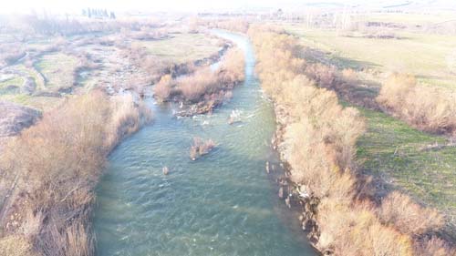 Foto - Geniş ağızlı ve keskin dişli! Tüm balıkçıların kabusu oldu