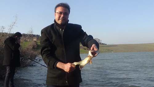 Geniş ağızlı ve keskin dişli! Tüm balıkçıların kabusu oldu