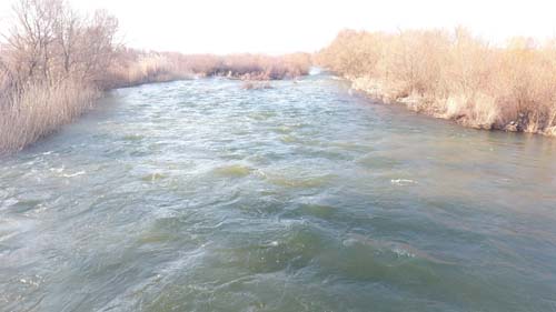 Foto - Geniş ağızlı ve keskin dişli! Tüm balıkçıların kabusu oldu