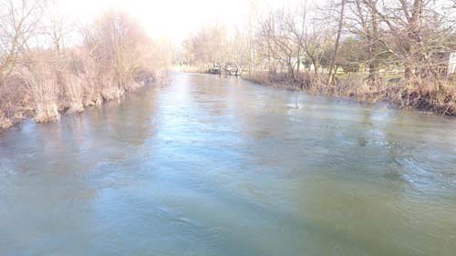 Foto - Geniş ağızlı ve keskin dişli! Tüm balıkçıların kabusu oldu