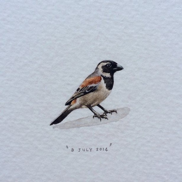 Foto - Gerçeğinden ayırmak neredeyse imkansız...