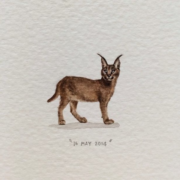 Foto - Gerçeğinden ayırmak neredeyse imkansız...