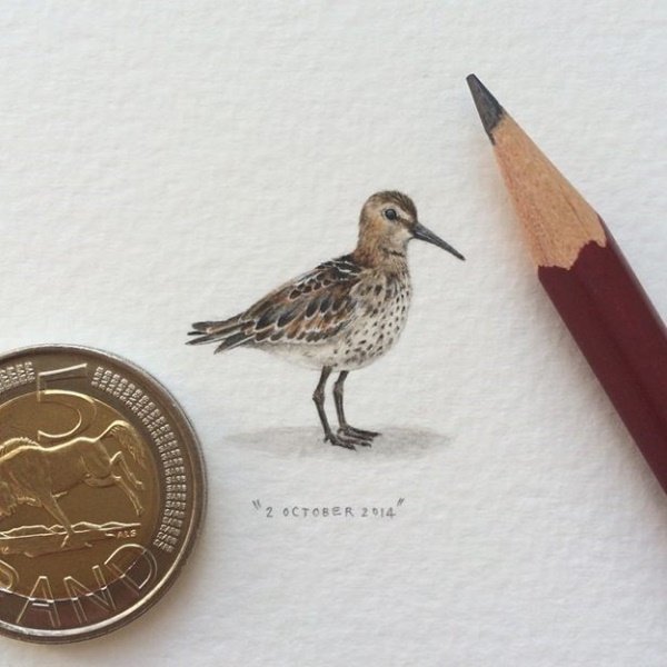 Foto - Gerçeğinden ayırmak neredeyse imkansız...