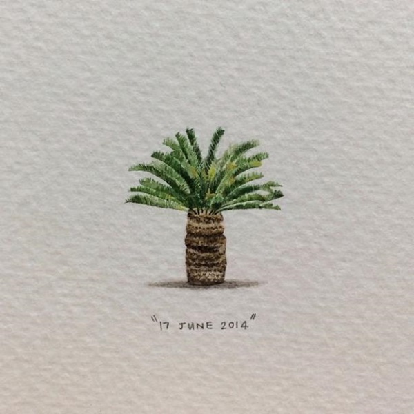 Foto - Gerçeğinden ayırmak neredeyse imkansız...