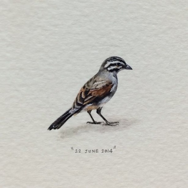 Foto - Gerçeğinden ayırmak neredeyse imkansız...