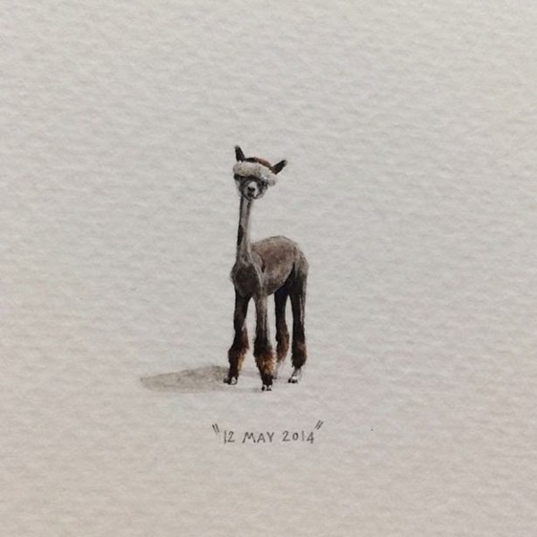 Foto - Gerçeğinden ayırmak neredeyse imkansız...