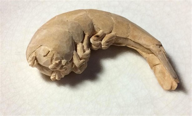 Foto - Gerçeğinden ayırmak resmen imkansız