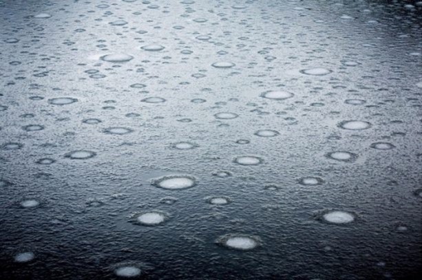 Foto - Gerçek olduğuna inanamayacaksınız