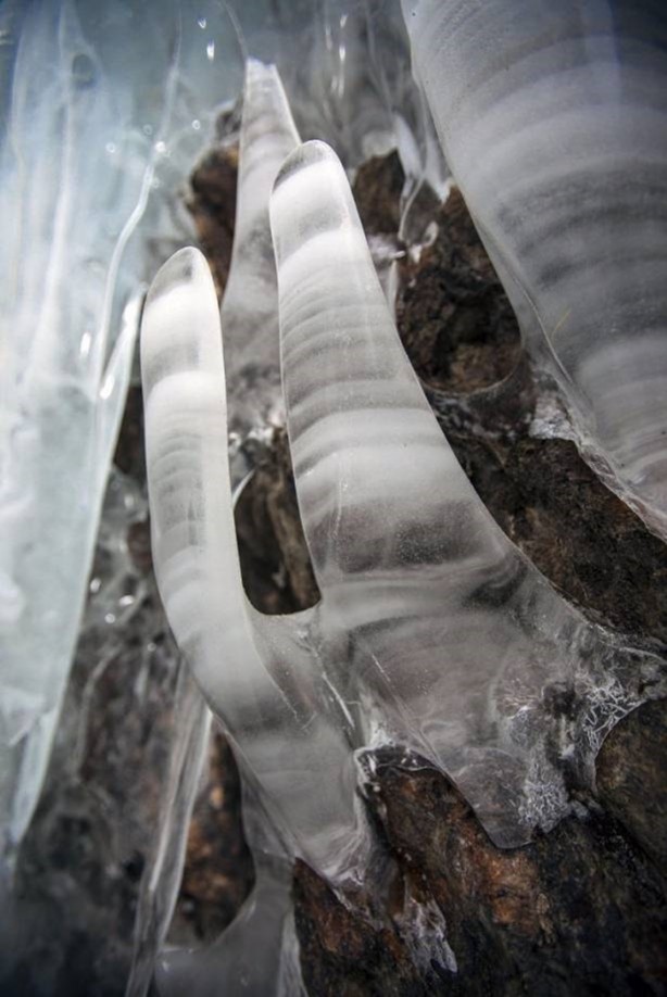 Foto - Gerçek olduğuna inanamayacaksınız