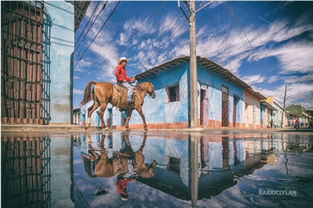 Foto - Gerçek olduğuna inanamayacaksınız