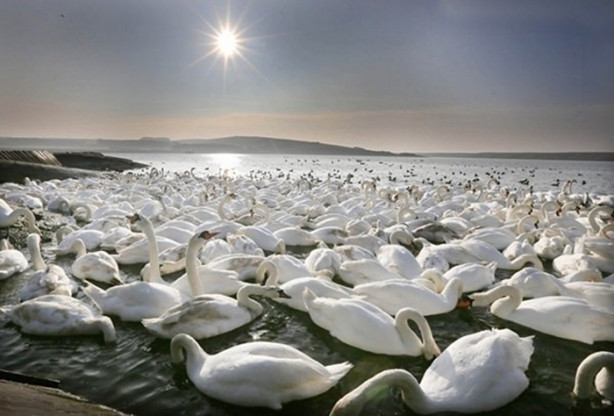 Foto - Gerçek olduklarına inanamayacaksınız!