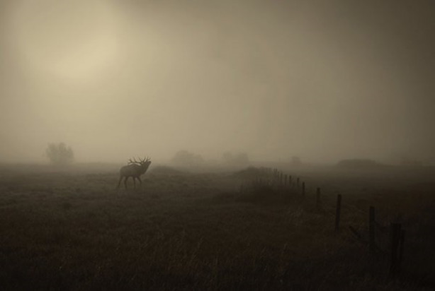 Foto - Gerçek olduklarına inanamayacaksınız!