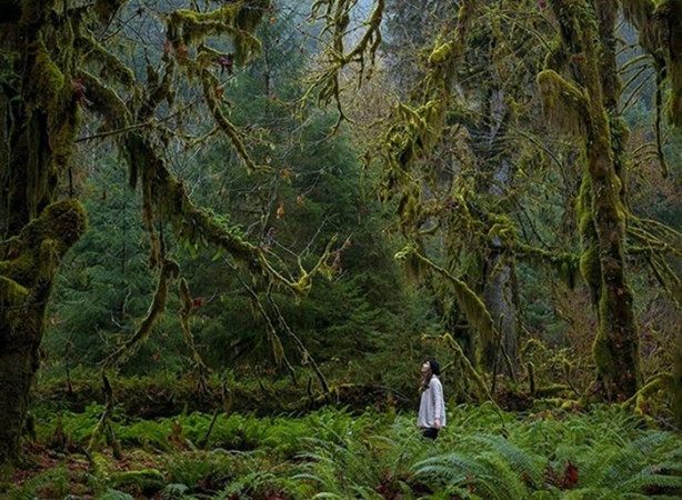 Foto - Gerçek olduklarına inanamayacaksınız!