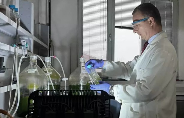 Gezeravcı'nın uzayda gerçekleştirdiği mikroalg deneyinde müthiş sonuçlar!