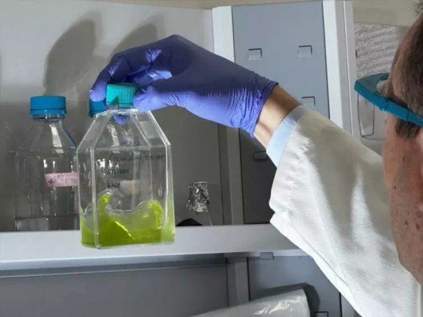 Foto - Gezeravcı'nın uzayda gerçekleştirdiği mikroalg deneyinde müthiş sonuçlar!