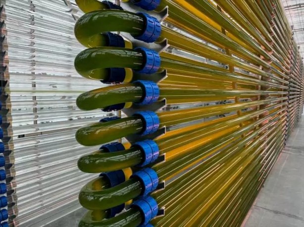 Foto - Gezeravcı'nın uzayda gerçekleştirdiği mikroalg deneyinde müthiş sonuçlar!