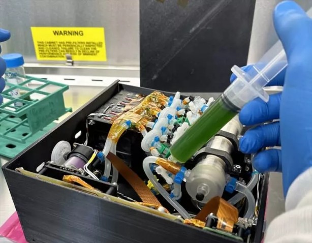 Foto - Gezeravcı'nın uzayda gerçekleştirdiği mikroalg deneyinde müthiş sonuçlar!