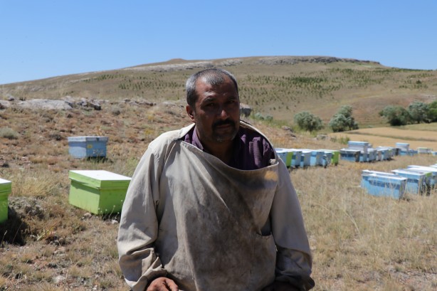 Foto - 'Gezgin arıcı'yı hiç duydunuz mu? Bakın bal için neler yapıyor