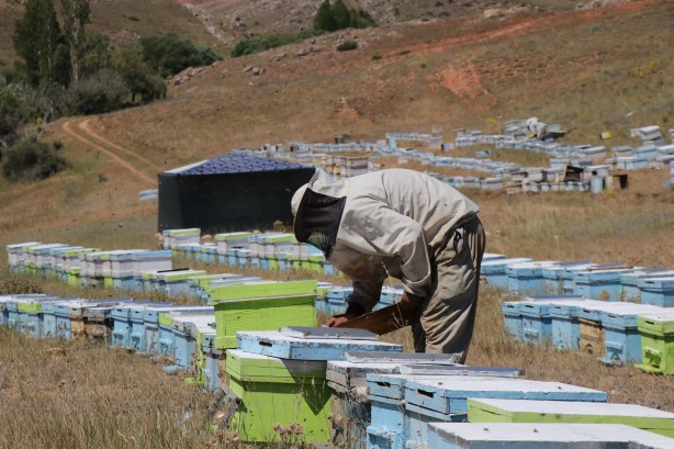 Foto - 'Gezgin arıcı'yı hiç duydunuz mu? Bakın bal için neler yapıyor