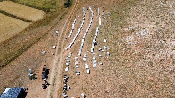 'Gezgin arıcı'yı hiç duydunuz mu? Bakın bal için neler yapıyor