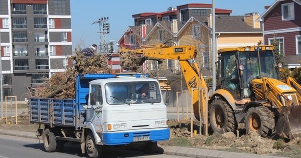 Gezi zekalılar buna da sessiz! CHP'den bir ağaç katliamı daha