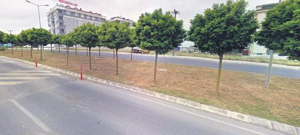 Foto - Gezi zekalılar buna da sessiz! CHP'den bir ağaç katliamı daha