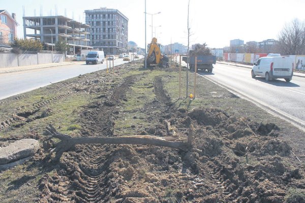 Foto - Gezi zekalılar buna da sessiz! CHP'den bir ağaç katliamı daha