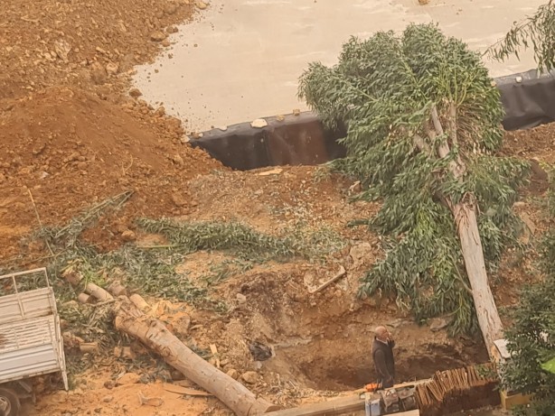Foto - Gezi zekalılar kafayı kuma gömdü! CHP’den ağaç katliamı
