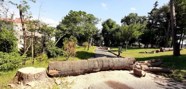 Foto - Gezi zekalılar sessiz! İBB'nin yaptığı katliam böyle görüntülendi