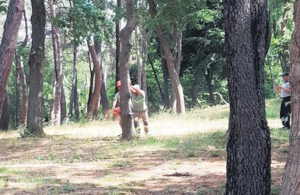 Foto - Gezi zekalılar sessiz! İBB'nin yaptığı katliam böyle görüntülendi
