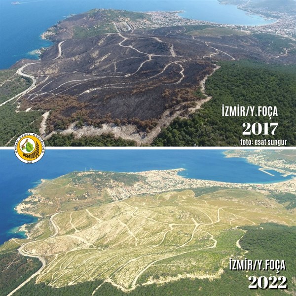 Foto - Gezizekalılar bakın iyi bakın! İzmir’in yanan ormanları yeşillendi