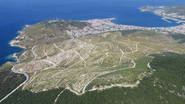 Gezizekalılar bakın iyi bakın! İzmir’in yanan ormanları yeşillendi