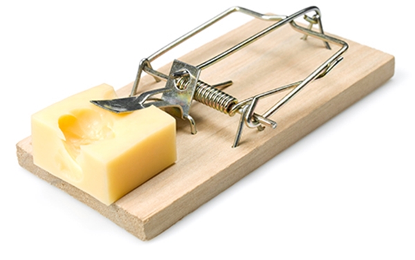 Foto - Gıda mühendisleri bütün rezilliği anlattı