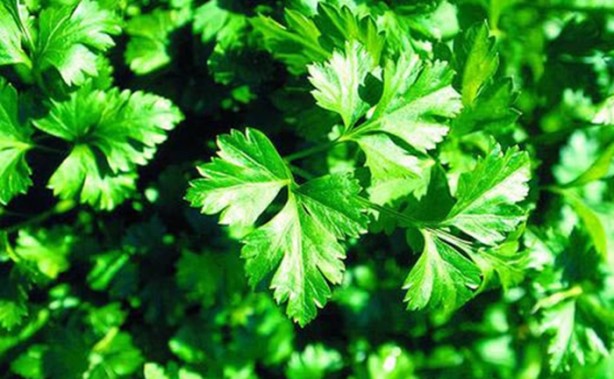 Gıdaları doğru şekilde tüketin!