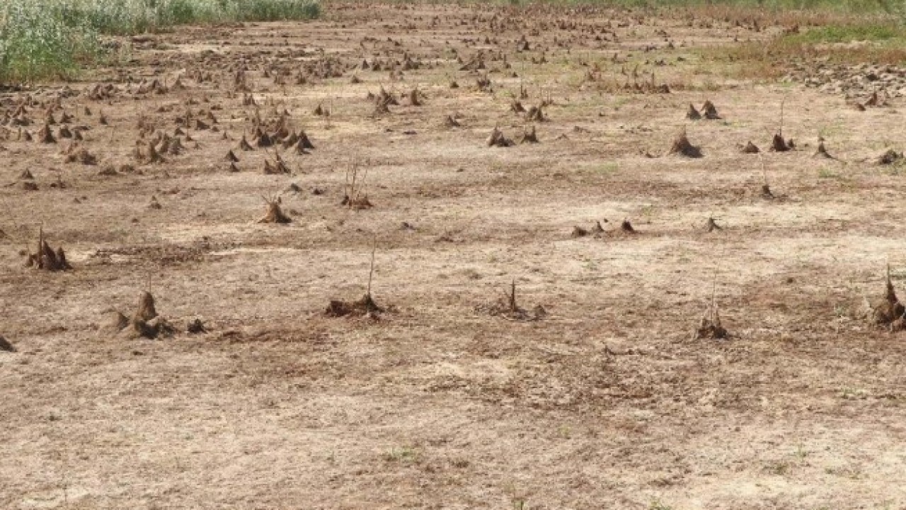 Foto - Gidişat korkutuyor! Türkiye'de en kritik 3 bölge belli oldu