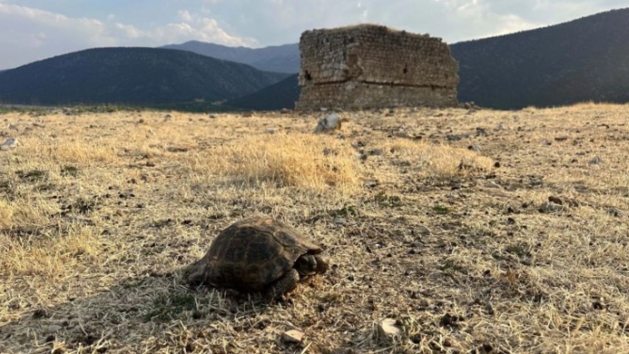 Gidişat korkutuyor! Türkiye'de en kritik 3 bölge belli oldu