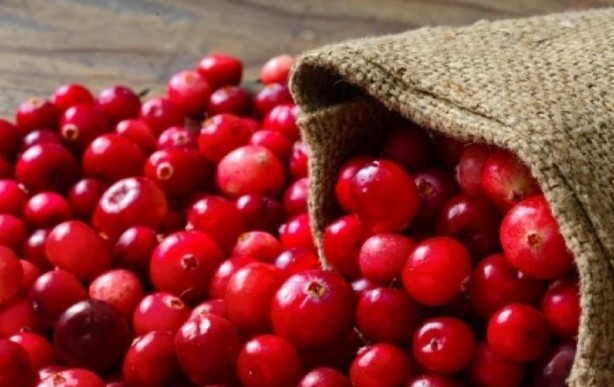 Foto - Gilaburu suyu böbrek için bire bir