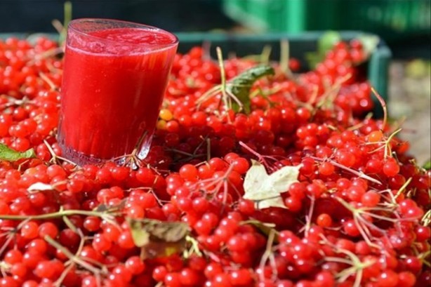 Foto - Gilaburu suyu böbrek için bire bir