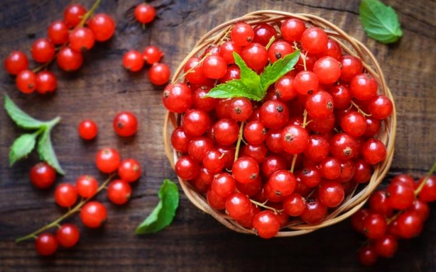 Foto - Gilaburu suyu böbrek için bire bir