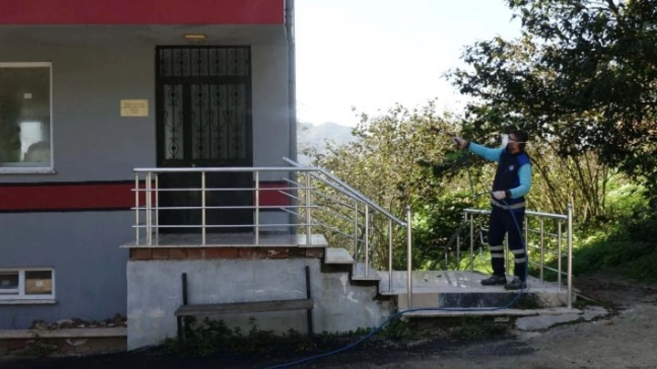 Foto - Giresun ve Sakarya’dan sonra şimdi o ilimizde! Kahverengi kokarca böceği üç ilimizi istila etti