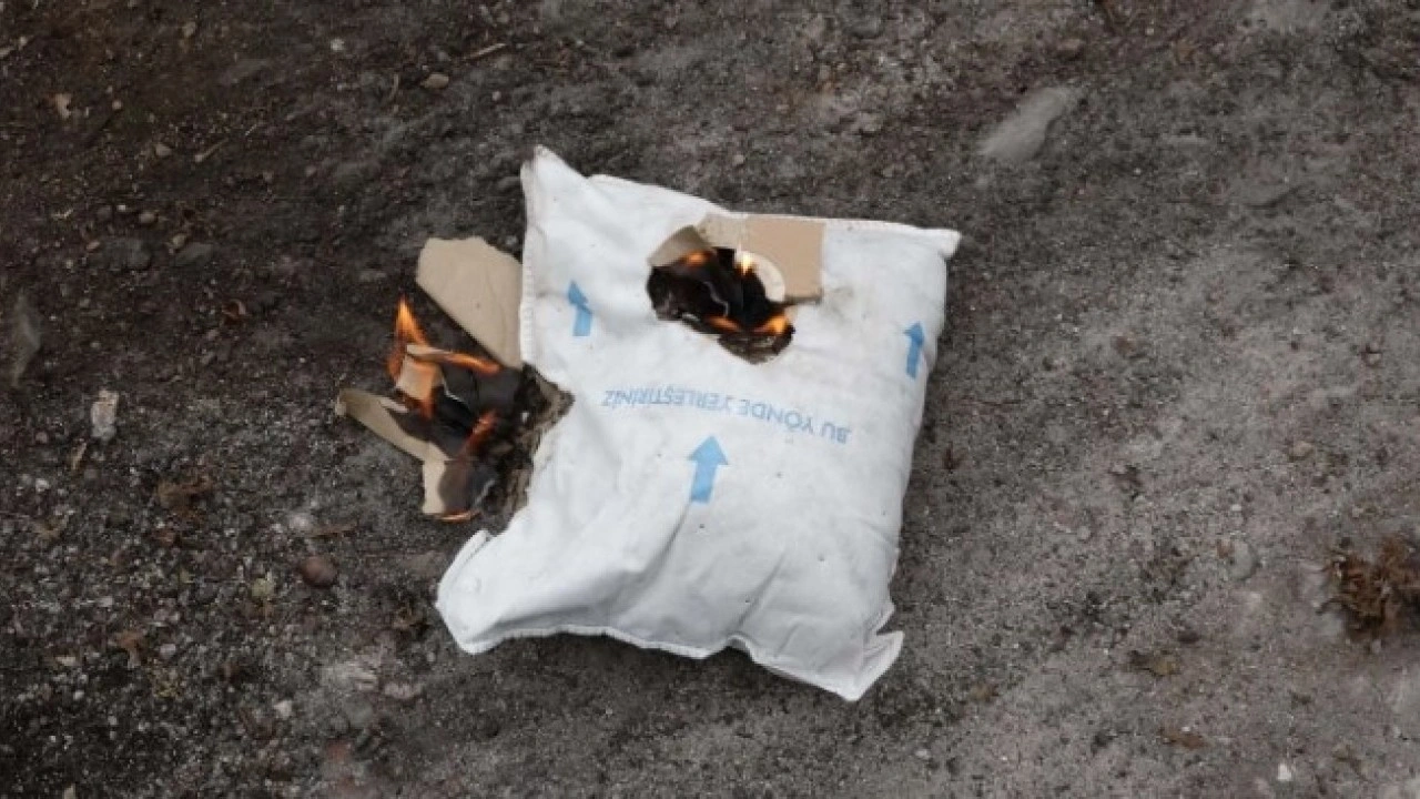 Foto - Giresun ve Sakarya’dan sonra şimdi o ilimizde! Kahverengi kokarca böceği üç ilimizi istila etti