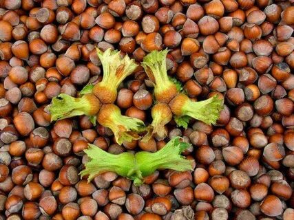 Foto - Giresun’da fiyatlar fırladı! Herkes şaşkın…