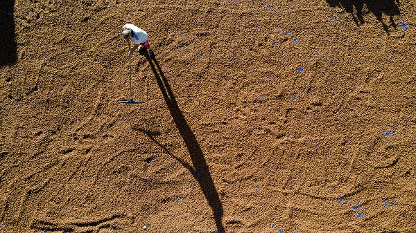 Foto - Giresunlu üreticiler bu işlem için 110 kilometre gitti