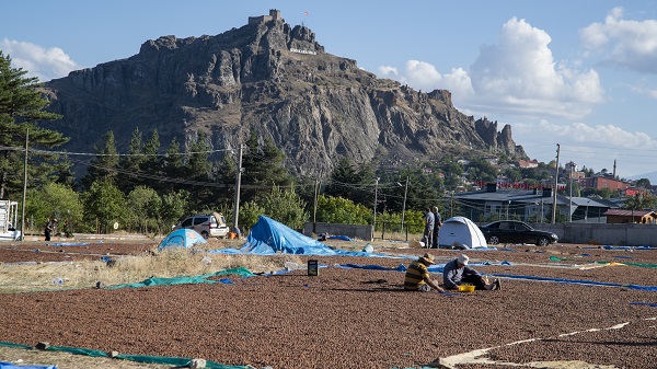 Foto - Giresunlu üreticiler bu işlem için 110 kilometre gitti