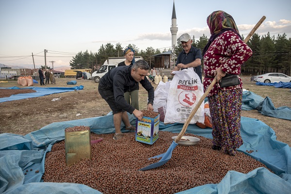 Foto - Giresunlu üreticiler bu işlem için 110 kilometre gitti