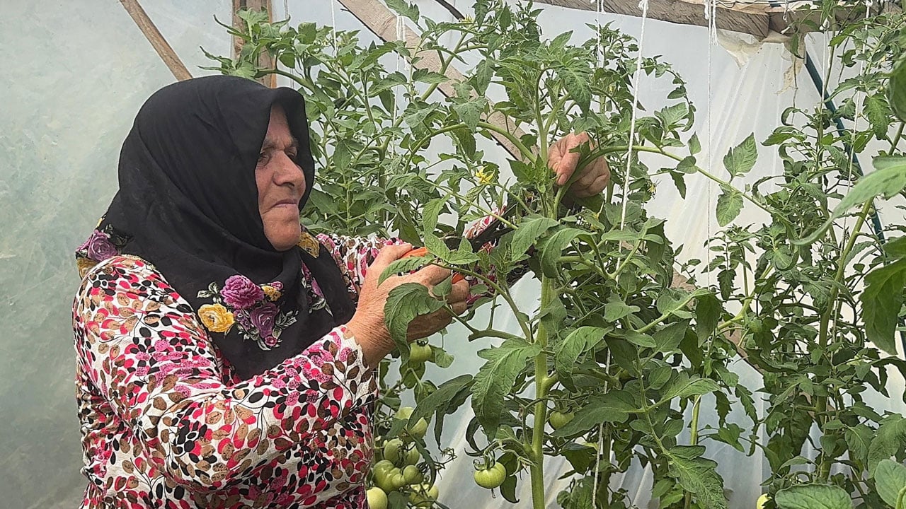 Foto - Giresun’un zirvesinde başarı hikayesi! Melek teyze kendi işinin patronu oldu