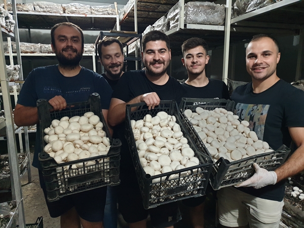 Girişimci kuzenler kurdukları işletmede kültür mantarı yetiştiriyor