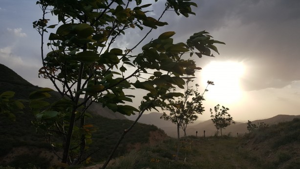 Girişimcilikte bir başarı öyküsü! Burası bildiğiniz Kurtlar Vadisi değil