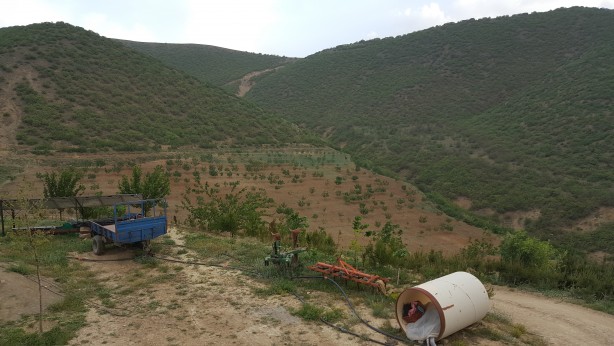 Foto - Girişimcilikte bir başarı öyküsü! Burası bildiğiniz Kurtlar Vadisi değil