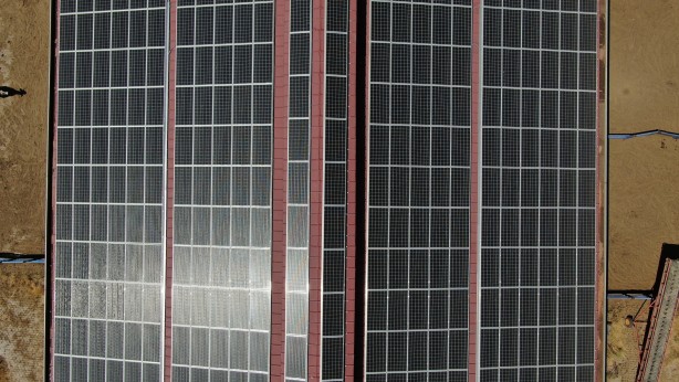 Foto - Girişimcinin tatlı telaşı! Elindeki elektriği verecek yer bulamıyor